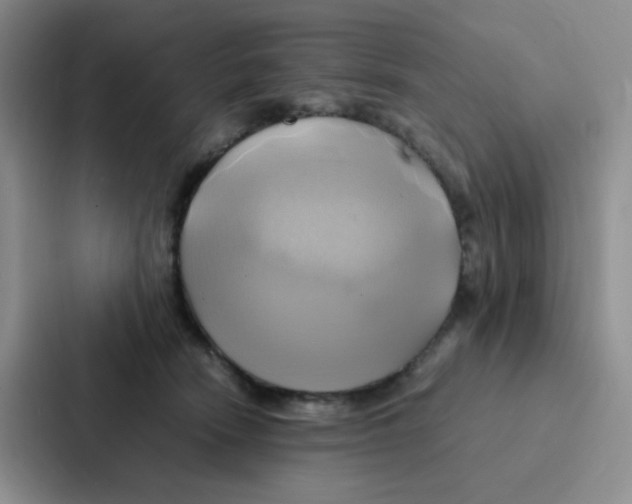 X0000086940466200705141806