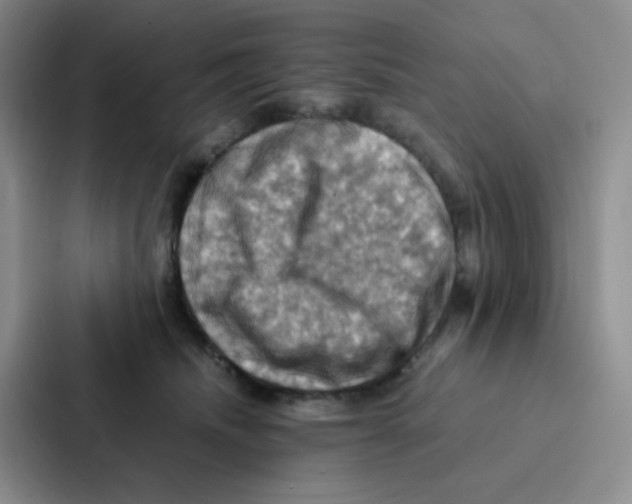 X0000086940468200705141806