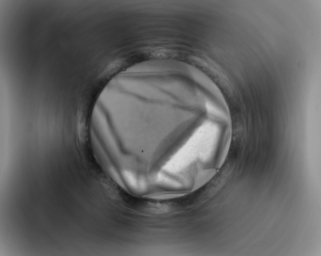 X0000086940469200705141806