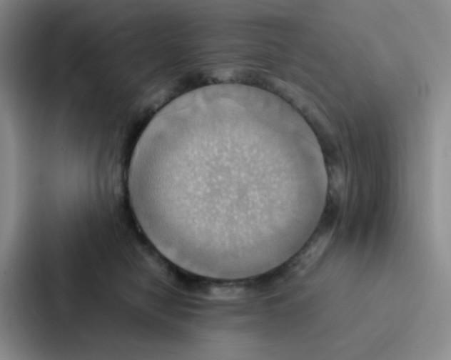 X0000086940470200705141806