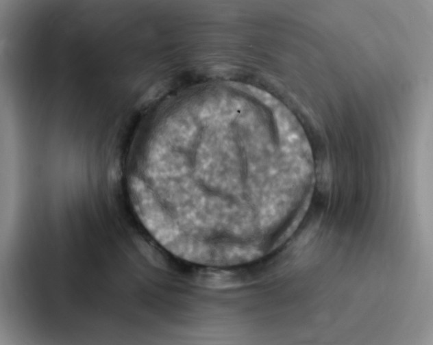 X0000086940472200705141806