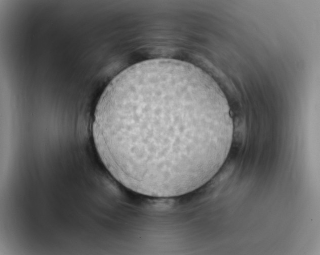 X0000086940474200705141806