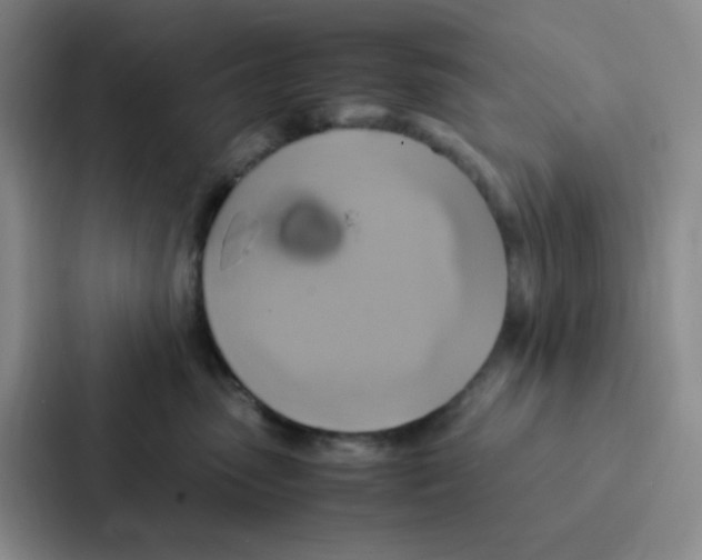 X0000086940475200705141806