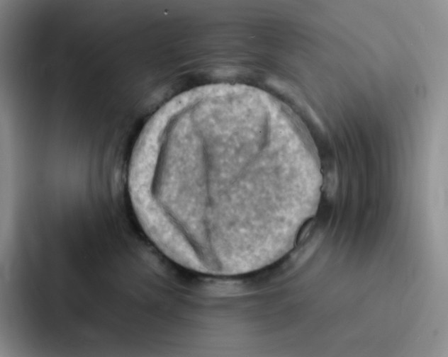 X0000086940476200705141806