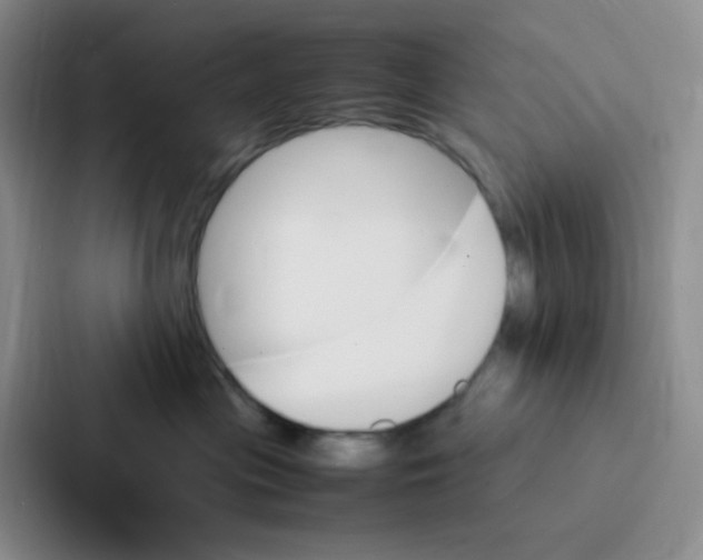 X0000086940477200705141806