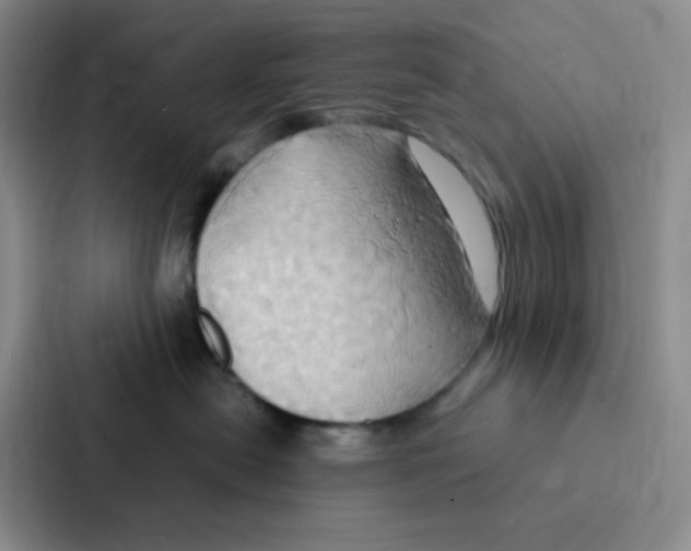 X0000086940478200705141806