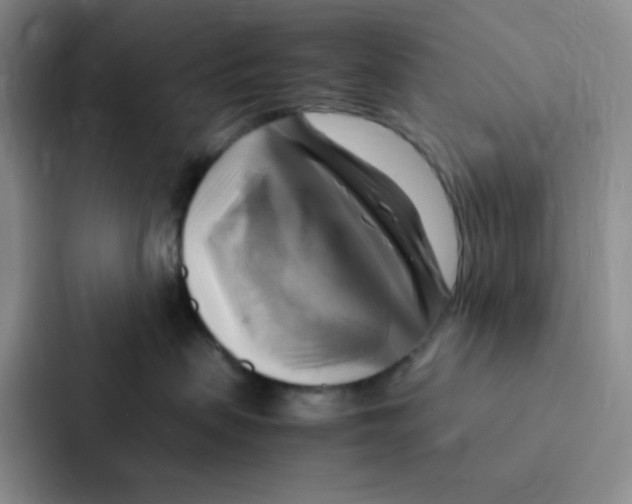 X0000086940479200705141806