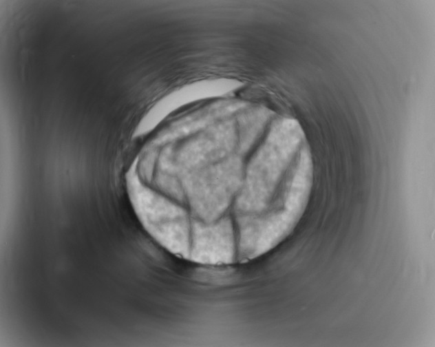 X0000086940480200705141806