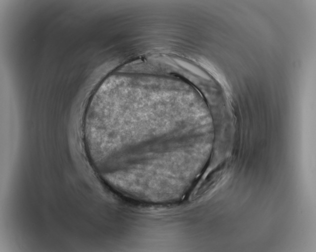 X0000086940481200705141805