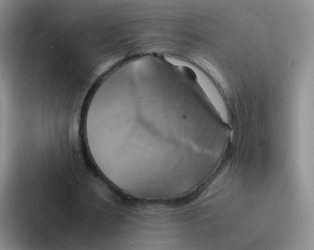X0000086940483200705141805