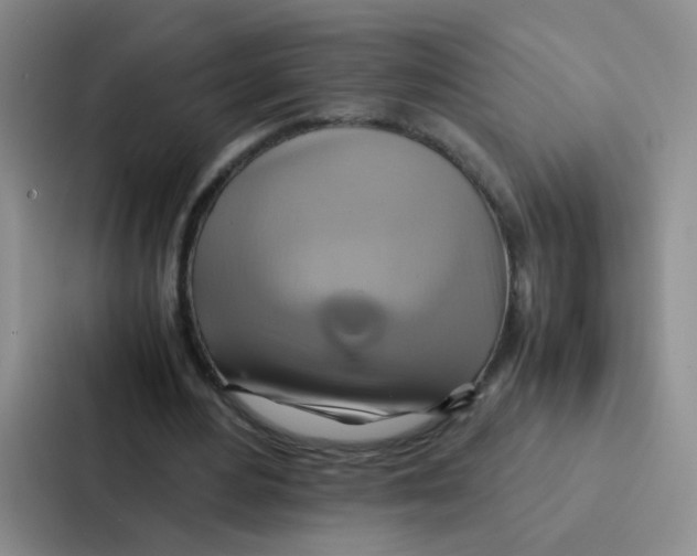 X0000086940484200705141805