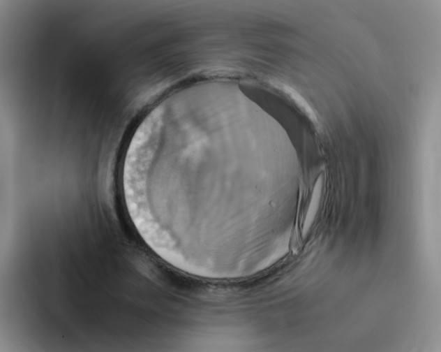 X0000086940487200705141805