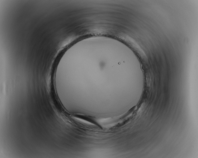 X0000086940488200705141805