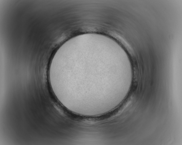 X0000086940489200705141805