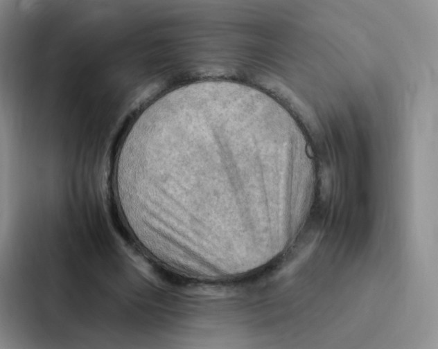 X0000086940490200705141805