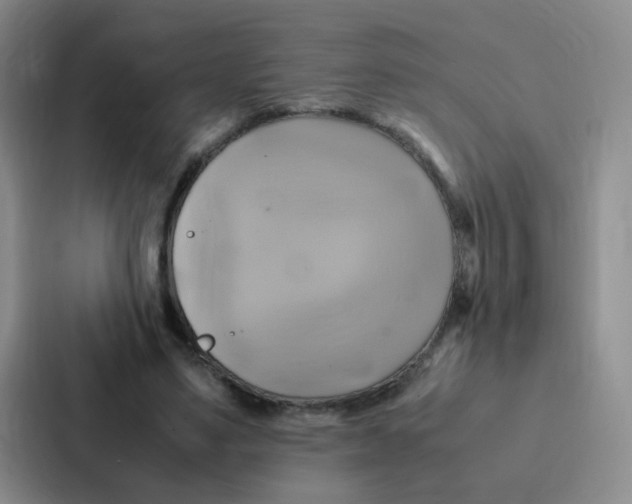 X0000086940491200705141805