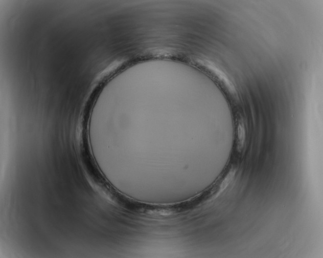 X0000086940492200705141805