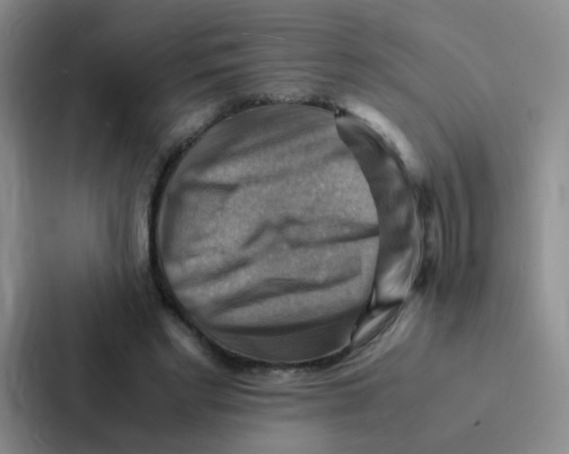 X0000086940493200705141805