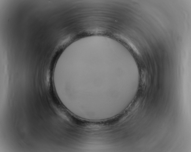 X0000086940494200705141805