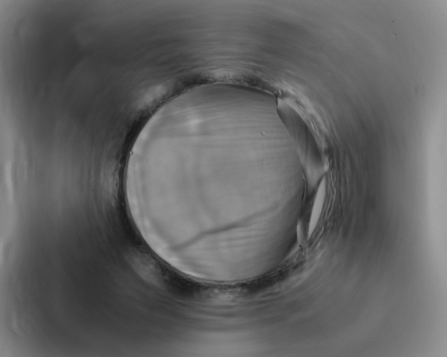 X0000086940495200705141805