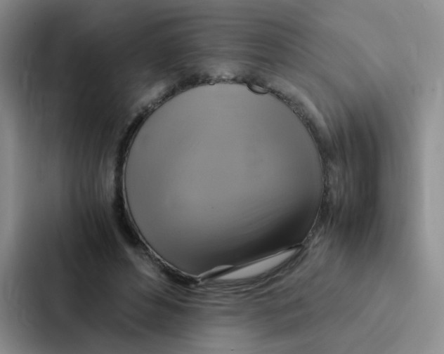 X0000086940496200705141805