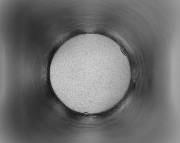 X0000086940497200705141805