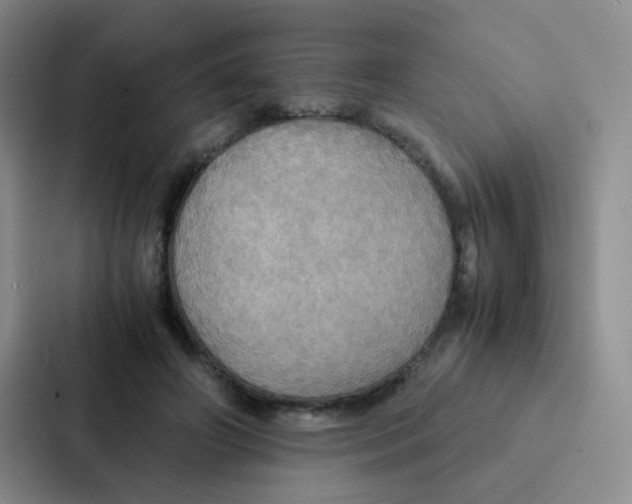 X0000086940498200705141805