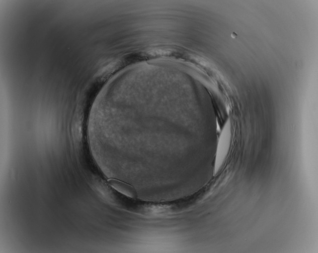 X0000086940501200705141805