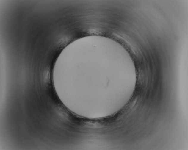X0000086940502200705141805
