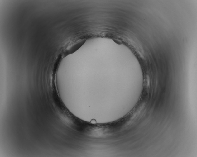 X0000086940504200705141805