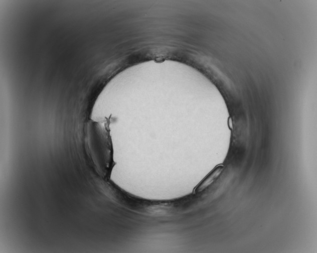 X0000086940505200705141805