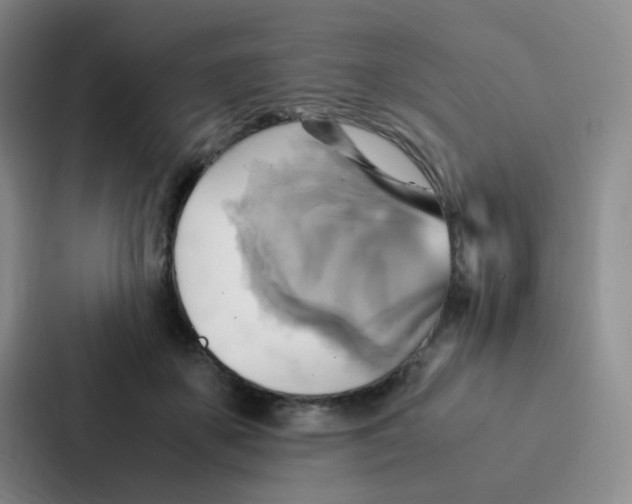 X0000086940507200705141805
