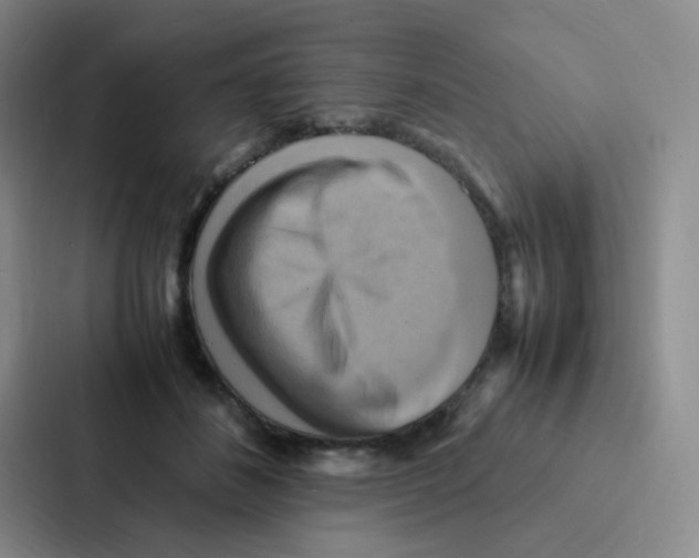 X0000086940508200705141805