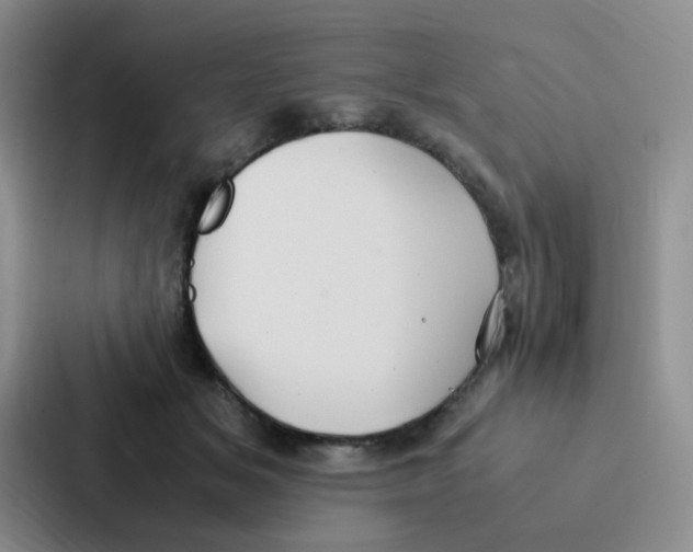 X0000086940509200705141805
