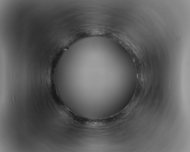 X0000086940512200705141805
