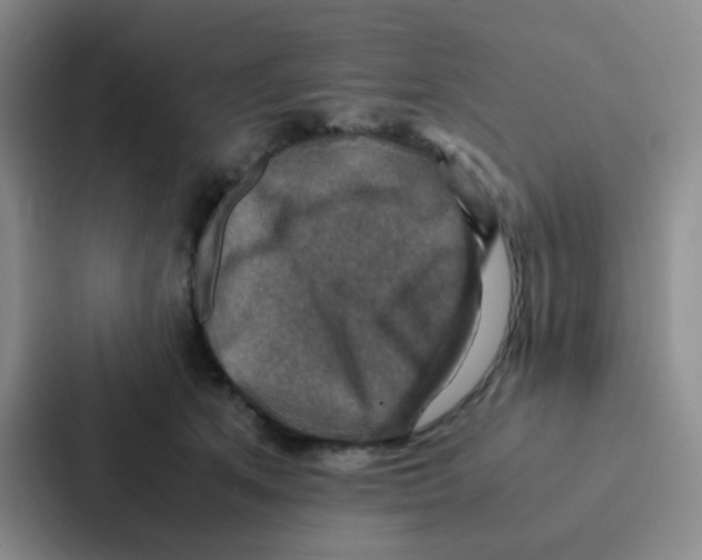 X0000086940513200705141805