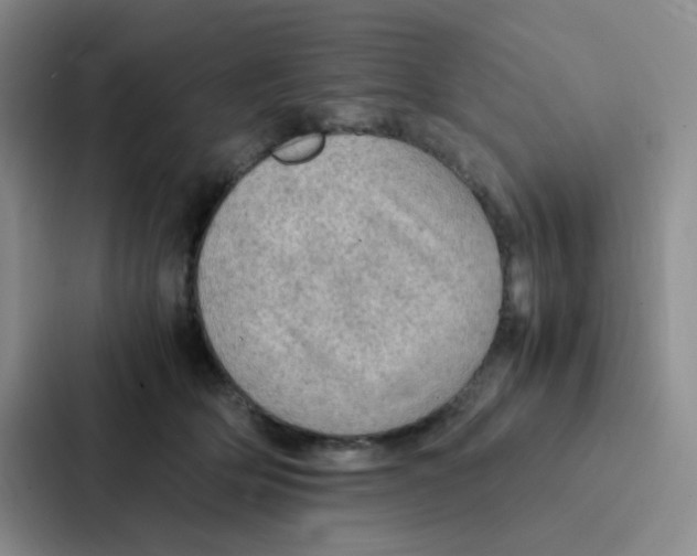 X0000086940514200705141805