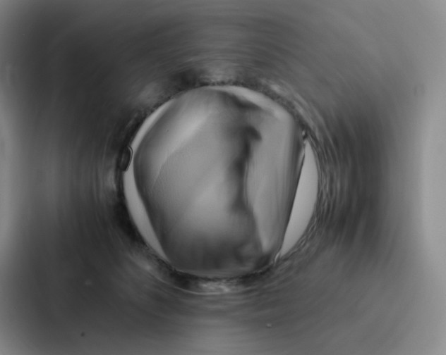 X0000086940516200705141805