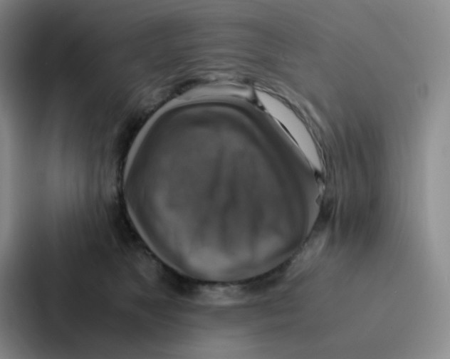 X0000086940517200705141805