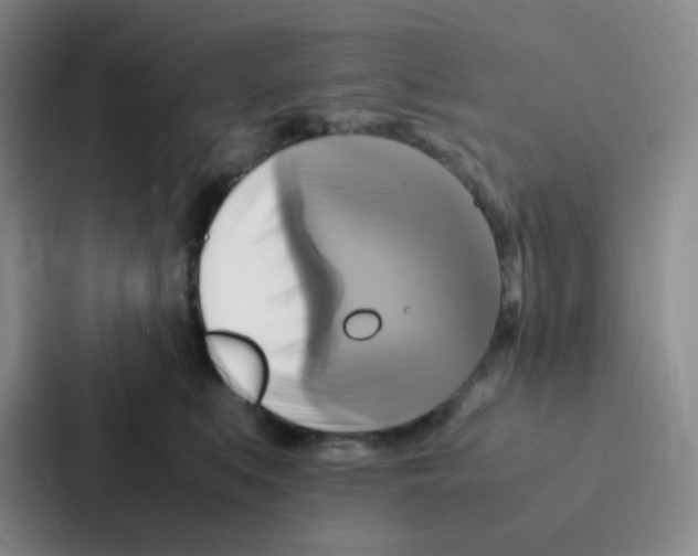 X0000086940519200705141805
