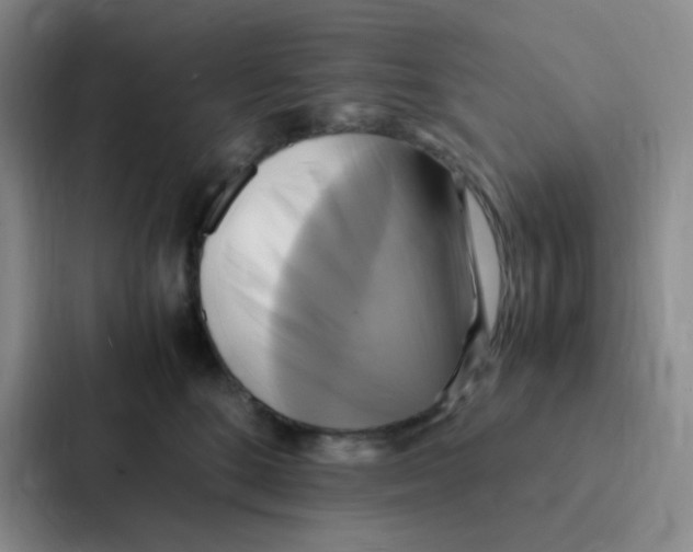 X0000086940520200705141805
