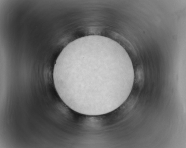 X0000086940522200705141805