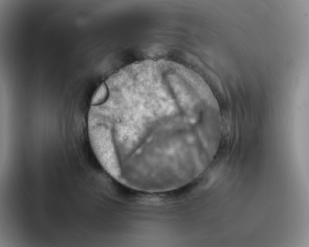 X0000086940523200705141805