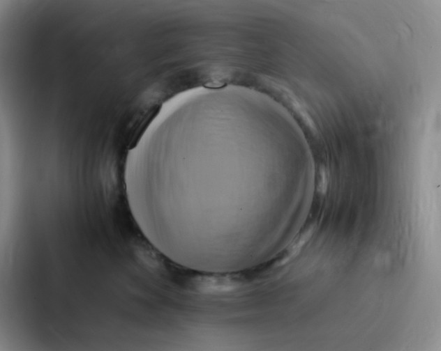 X0000086940524200705141804