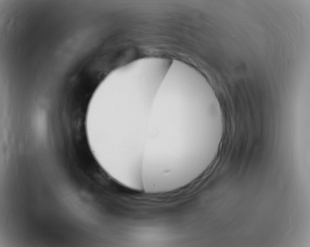 X0000086940525200705141804