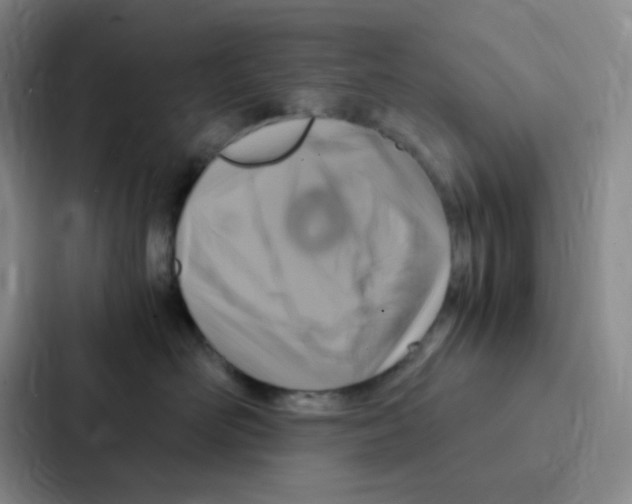 X0000086940526200705141804