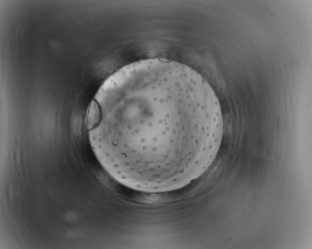 X0000086940527200705141804