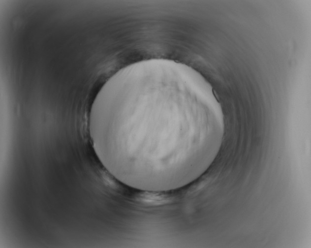 X0000086940528200705141804