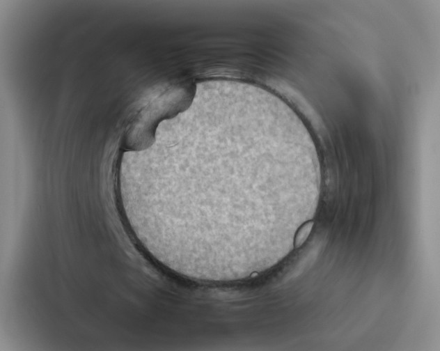 X0000086940529200705141804