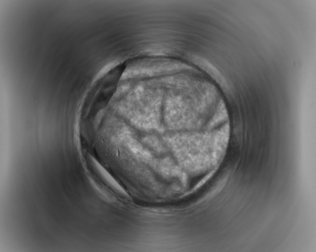 X0000086940530200705141804